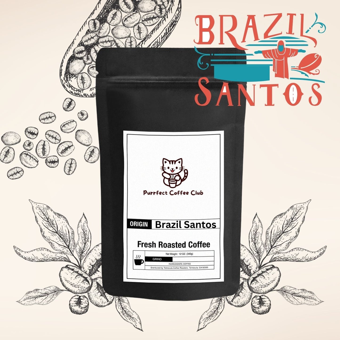 Brazil Santos